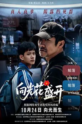 向光花盛开在线观看