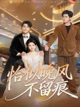 恰似晚风不留痕在线观看