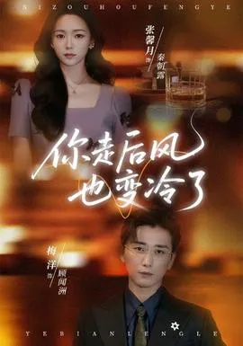 你走后风也变冷了在线观看