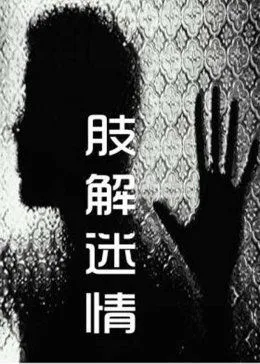 肢解迷情封面