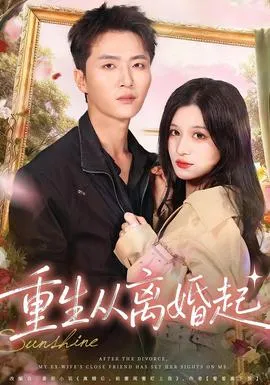 重生从离婚起在线观看