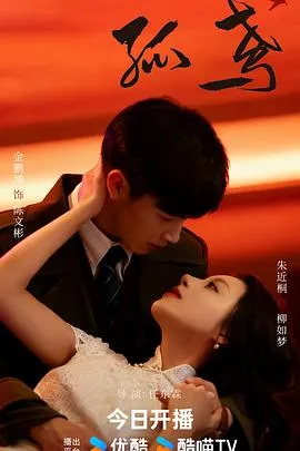 孤鸢在线观看