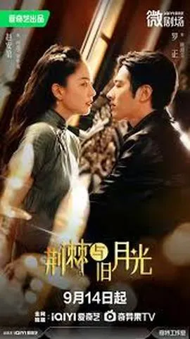 荆棘与月光在线观看