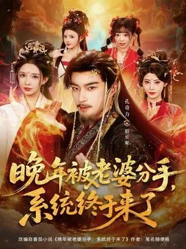晚年被老婆分手，系统终于来了在线观看
