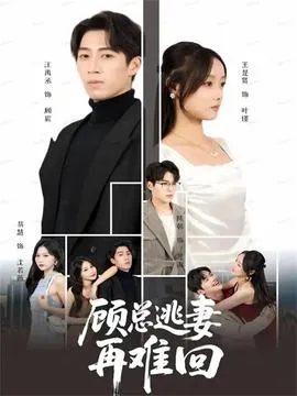 顾总逃妻再难回在线观看