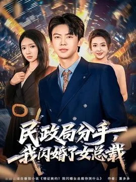 民政局分手，我闪婚了女总裁在线观看