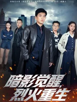 暗影觉醒，烈火重生在线观看