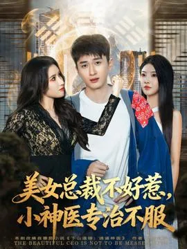 美女总裁不好惹，小神医专治不服在线观看