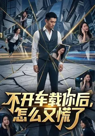 不开车载你后,怎么又慌了在线观看