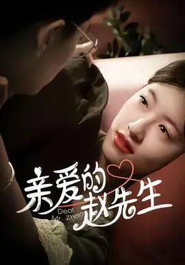 亲爱的赵先生在线观看