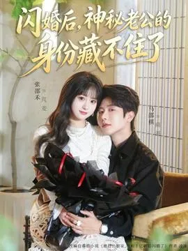 闪婚后，神秘老公的身份藏不住了在线观看