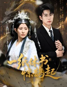 一纸休书惊鹊起在线观看