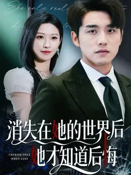 消失在她的世界后她才知道后悔在线观看