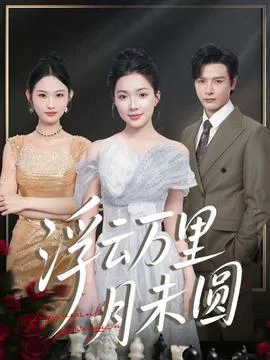 浮云万里月未圆在线观看