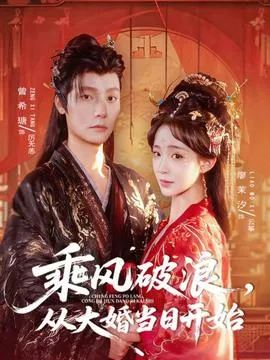 乘风破浪，从大婚当日开始在线观看