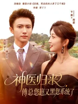 神医归来傅总您崽又黑您系统了在线观看