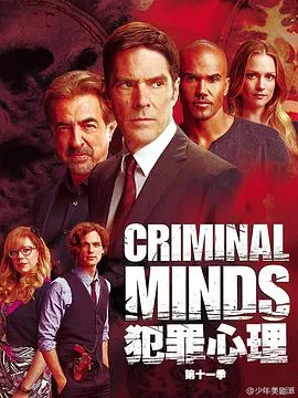 犯罪心理第十一季在线观看