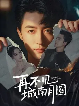 再不见城南月圆在线观看