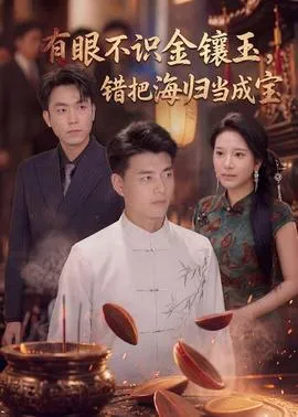 有眼不识金镶玉错把海归当成宝在线观看