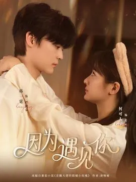 因为遇见你在线观看