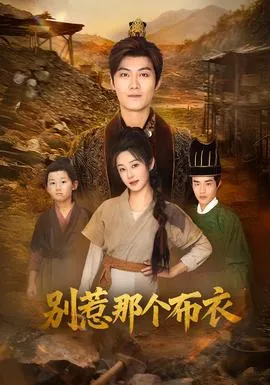 别惹那个布衣在线观看