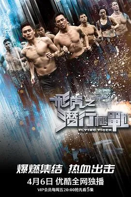 飞虎之潜行极战国语在线观看