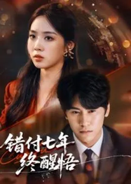 错付七年终醒悟在线观看