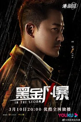 黑金风暴国语在线观看