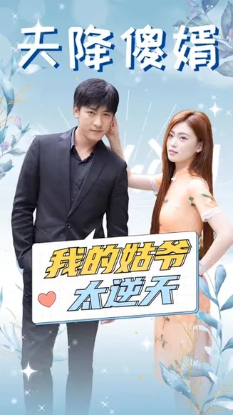 天降傻婿：我的姑爷太逆天