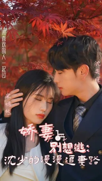 娇妻别想逃:沈少的漫漫追妻路