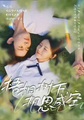 梧桐树下，相思成空在线观看