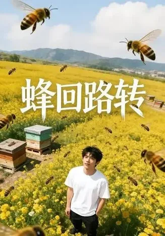 蜂回路转在线观看