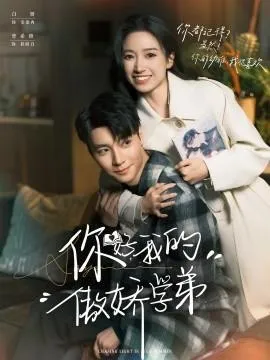 你好，我的傲娇学弟在线观看