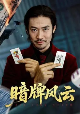 暗牌风云在线观看