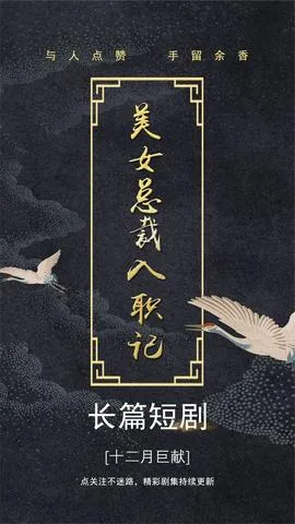 美女总裁入职记