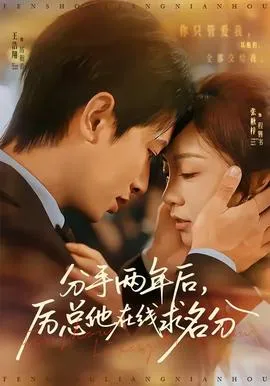 分手两年后，厉总他在线求名分