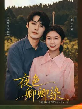 夜色卿卿染在线观看