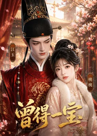 曾得一宝在线观看