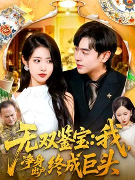无双鉴宝我净身出户终成巨头在线观看