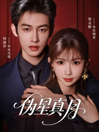 伪星真月在线观看