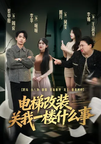 电梯改装关我一楼什么事在线观看