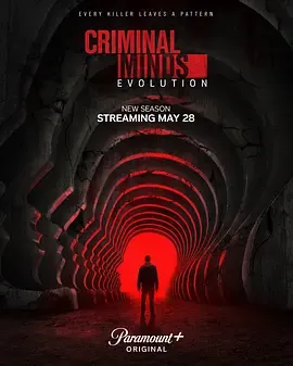 犯罪心理:演变 第十九季 Criminal Minds: Evolution Season 19在线观看