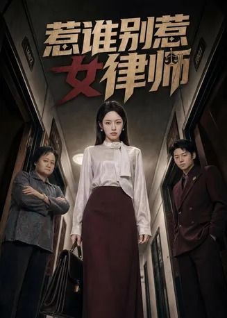 惹谁别惹女律师在线观看