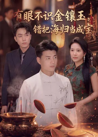 有眼不识金镶玉错把海归当成宝在线观看