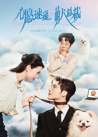 心愿速递之萌犬总裁在线观看