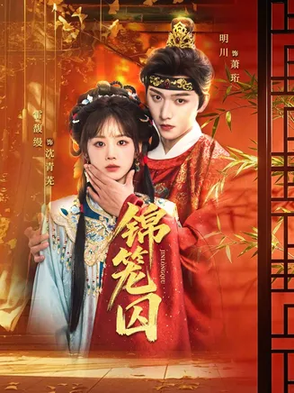锦笼囚在线观看