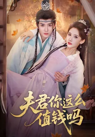 夫君你这么值钱吗在线观看