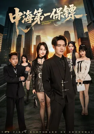 中海第一保镖在线观看
