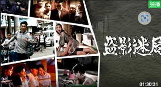 盗影迷局在线观看
