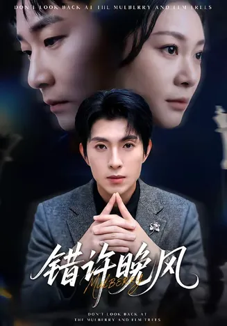错许晚风在线观看